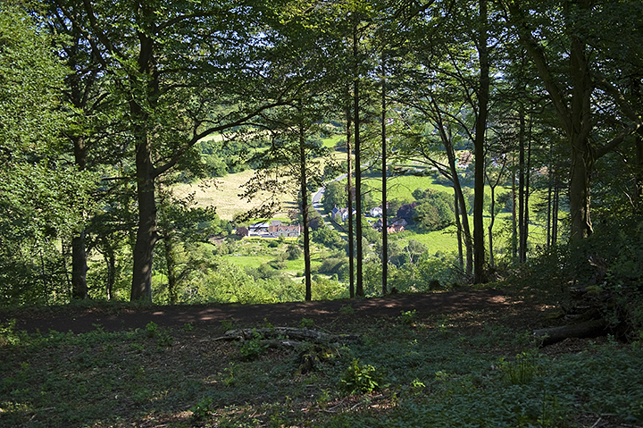 Brackenbury Camp (Hillfort) by A R Cane
