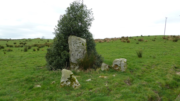 Montiaghroe (Stone Circle) by Nucleus