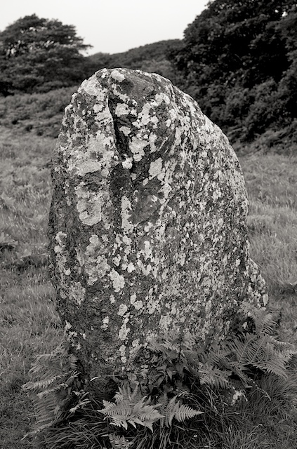Devil's Quoit (Stackpole) (Standing Stone / Menhir) by breakingthings
