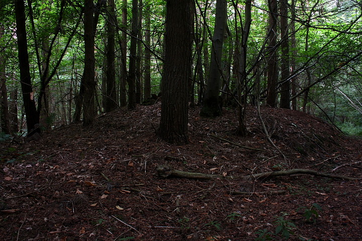 Iffin Wood (Round Barrow(s)) by GLADMAN