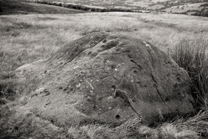 The Badger Stone (Cup and Ring Marks / Rock Art) by breakingthings