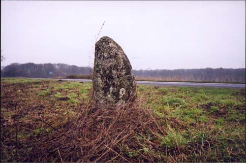 Stockton Stone (Standing Stone / Menhir) by juamei