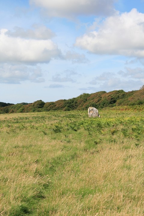 Devil's Quoit (Stackpole) (Standing Stone / Menhir) by postman
