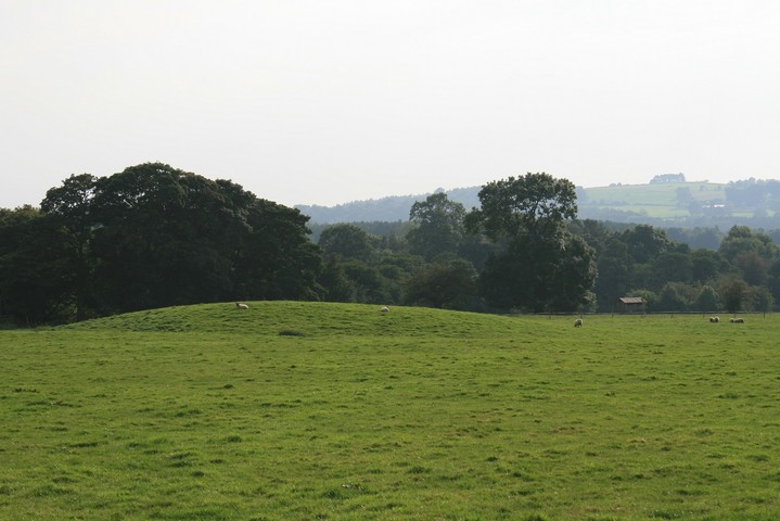 Leekfrith (Round Barrow(s)) by postman