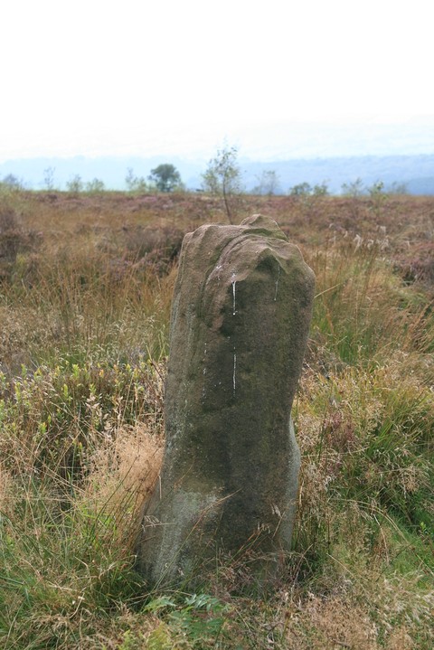 Gun Hill (Standing Stone / Menhir) by postman
