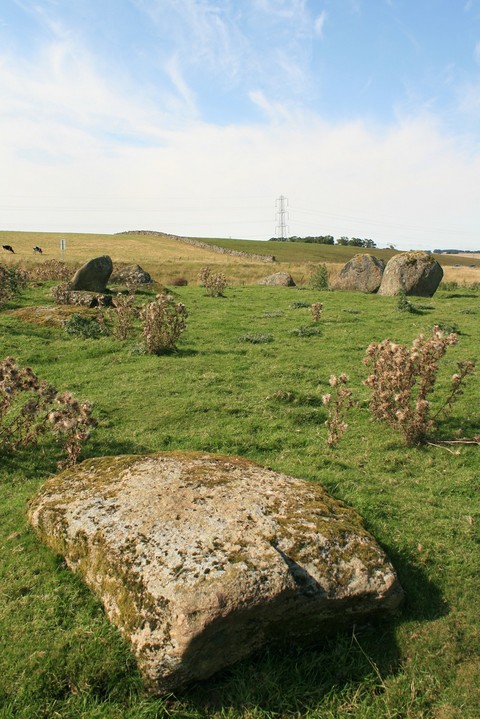 Gunnerkeld (Stone Circle) by postman