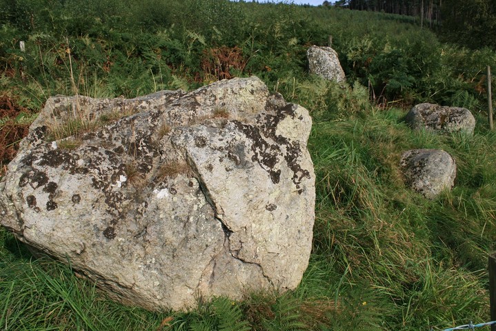 Leacet Circle (Stone Circle) by postman