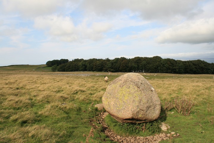 Oddendale Standing Stone (Standing Stone / Menhir) by postman