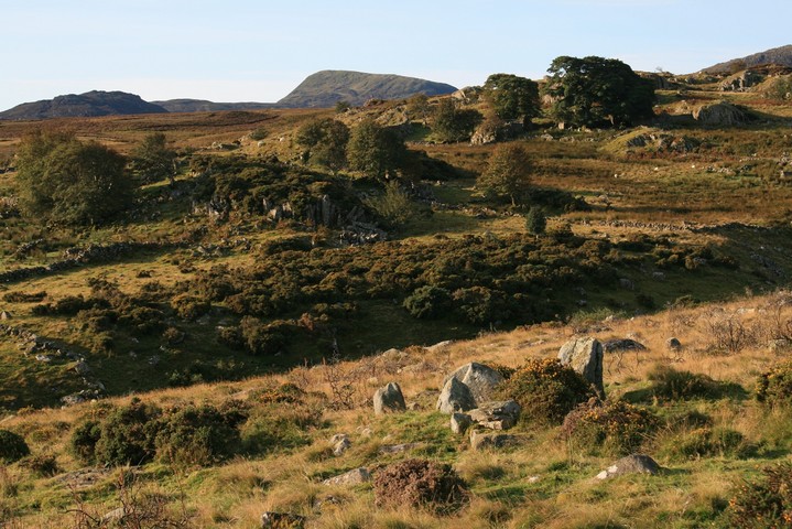 Hafodygors Wen (Ring Cairn) by postman