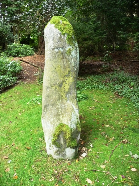 Newton Stone (Standing Stones) by drewbhoy