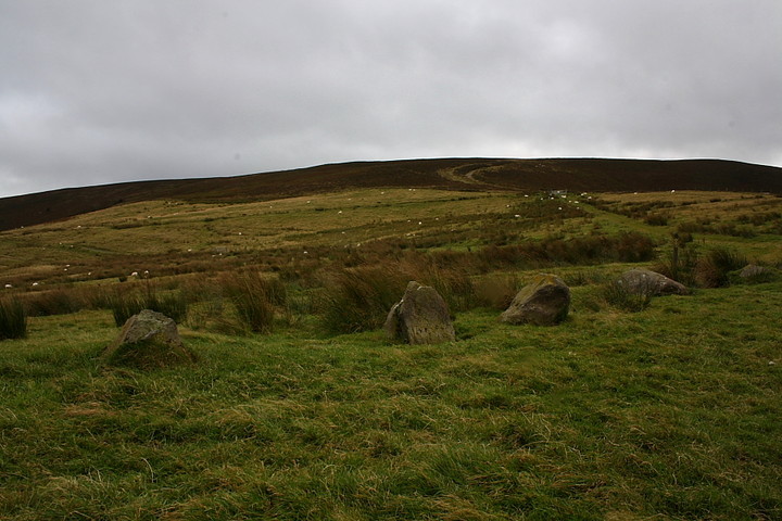 Bryn y Maen (Stone Row / Alignment) by GLADMAN