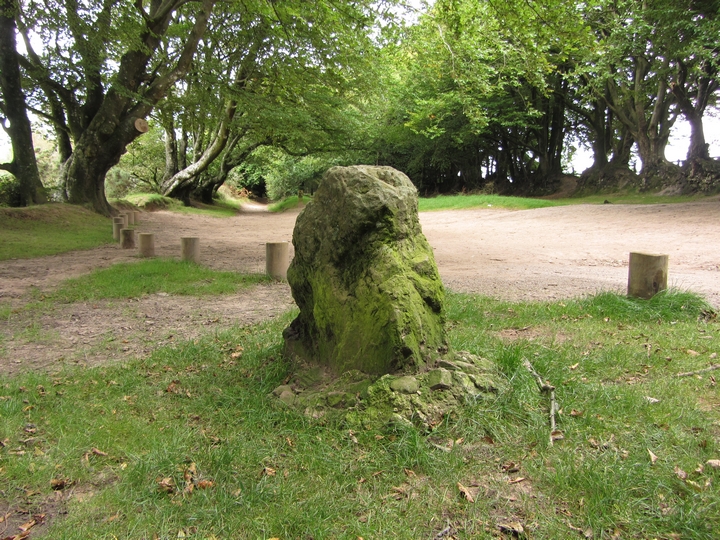 Triscombe Stone (Standing Stone / Menhir) by thelonious