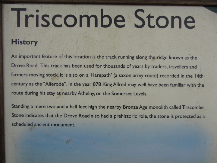 Triscombe Stone (Standing Stone / Menhir) by thelonious