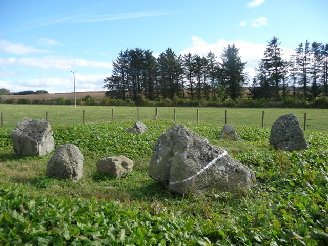 Backhill of Drachlaw (Stone Circle) by drewbhoy