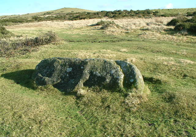 The Cow Stone (Standing Stone / Menhir) by baza