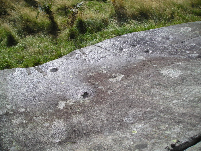 Carroglen (Cup and Ring Marks / Rock Art) by tiompan