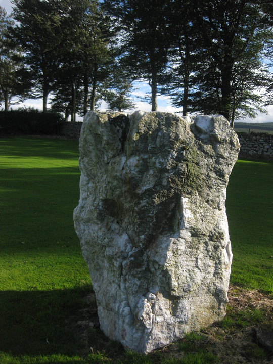 Glencullen (Standing Stone / Menhir) by ryaner