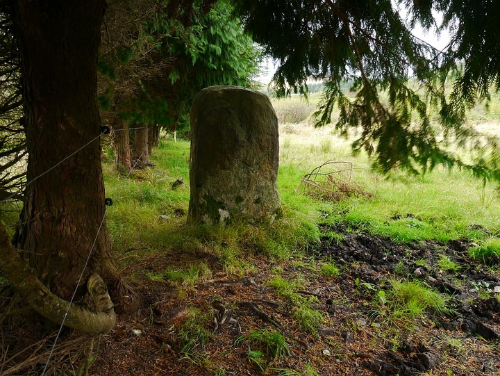 An Screathan Mór (Standing Stone / Menhir) by Meic