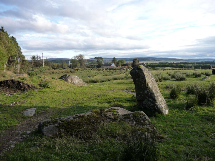 Roddantree (Standing Stone / Menhir) by thesweetcheat