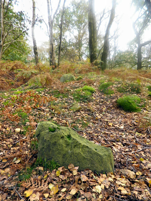 Stanton Moor North (Stone Circle) by stubob
