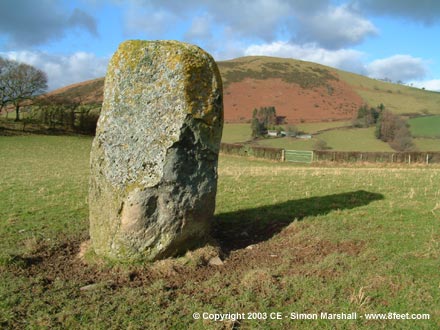 Maen Llwyd (Rhos Dyrnog) (Standing Stone / Menhir) by Kammer