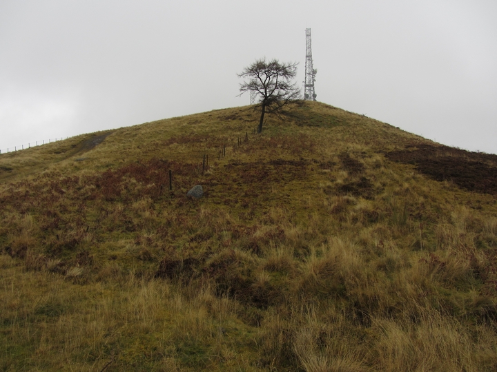 Milquhanzie Hill Fort (Hillfort) by thelonious
