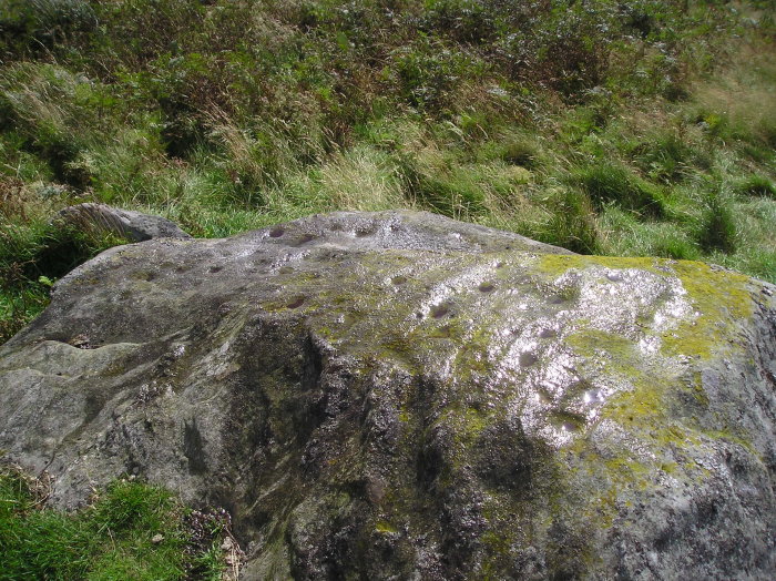 Buchanty Hill (Cup Marked Stone) by tiompan