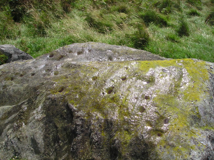Buchanty Hill (Cup Marked Stone) by tiompan