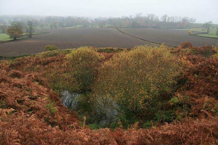 Old Oswestry (Hillfort) by postman