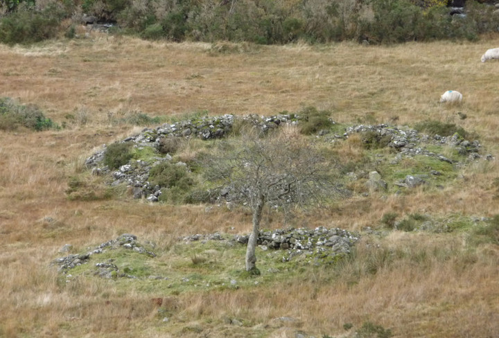 Settlement north of Cwm Dyli power station (Ancient Village / Settlement / Misc. Earthwork) by thesweetcheat