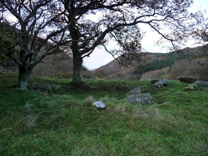 Coed Aber round house (Ancient Village / Settlement / Misc. Earthwork) by thesweetcheat
