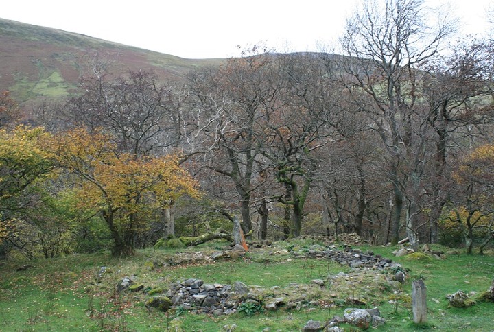 Coed Aber round house (Ancient Village / Settlement / Misc. Earthwork) by postman