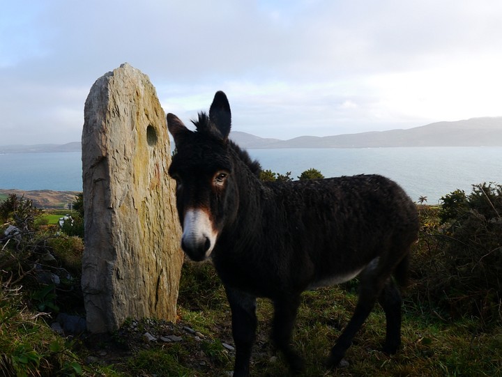 Caherurlagh (Standing Stone / Menhir) by Meic