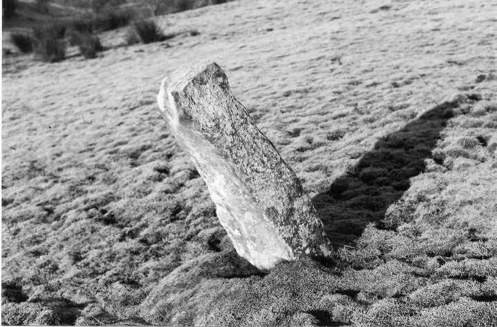 Lyndoch East Stone (Standing Stone / Menhir) by Ian Murray