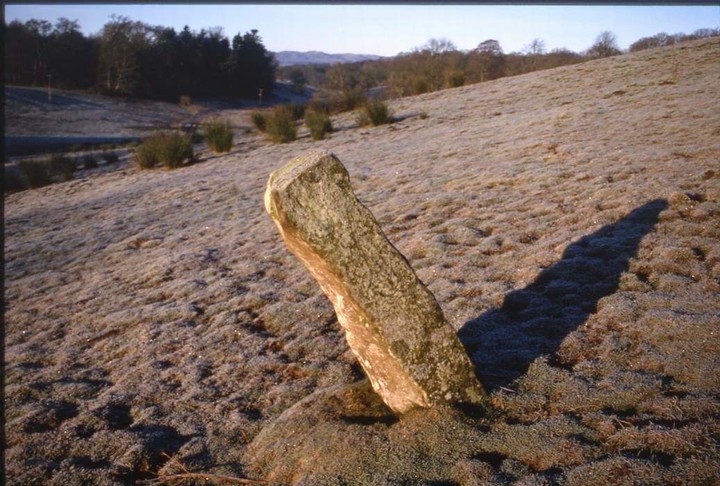 Lyndoch East Stone (Standing Stone / Menhir) by Ian Murray