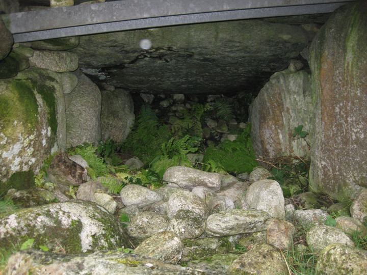 Carrowcrom (Wedge Tomb) by ryaner