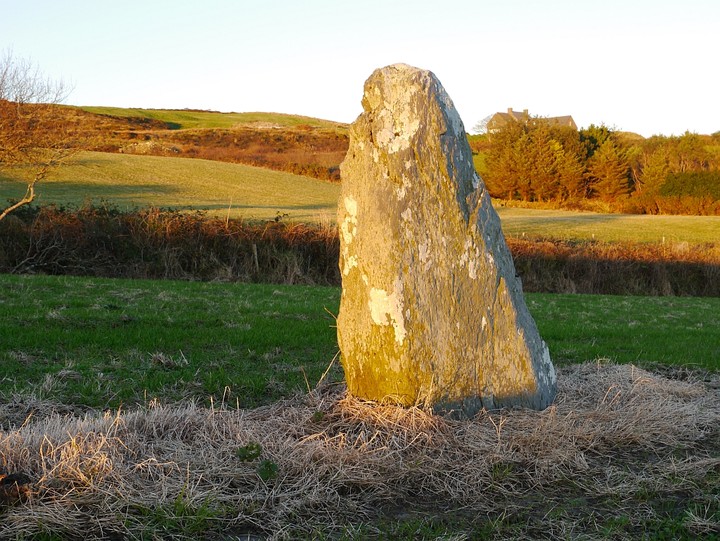 Killacoosane (Standing Stone / Menhir) by Meic