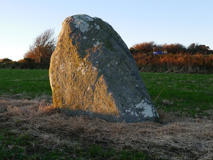 Killacoosane (Standing Stone / Menhir) by Meic