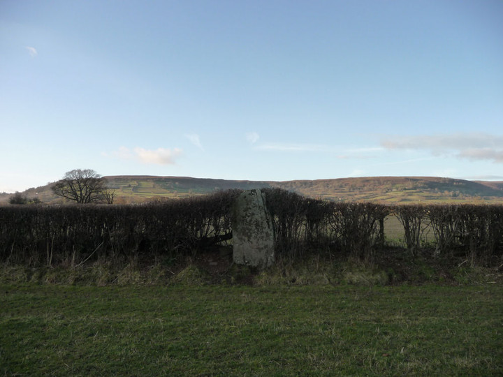 The Tretower Stone (Standing Stone / Menhir) by thesweetcheat