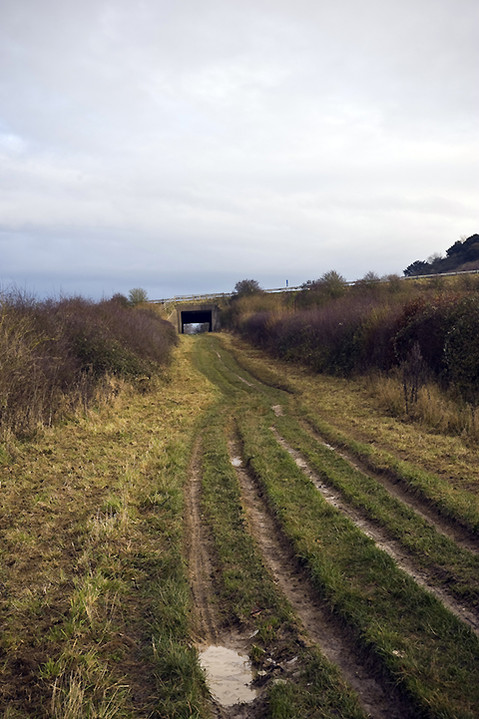 The Ridgeway (Ancient Trackway) by A R Cane