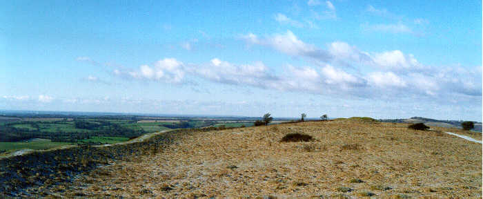 Old Winchester Hill (Hillfort) by jimit