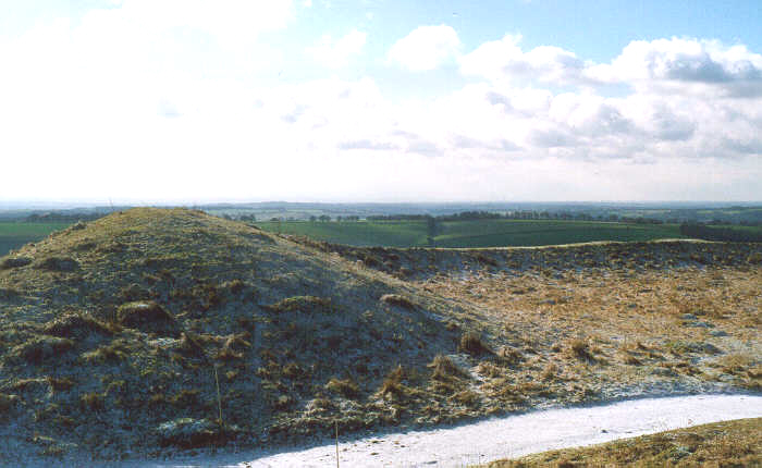 Old Winchester Hill (Hillfort) by jimit