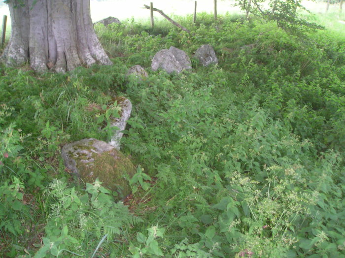Bruiach (Clava Cairn) by tiompan