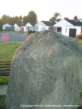 Maen Llwyd (Machynlleth) (Standing Stone / Menhir) by Kammer