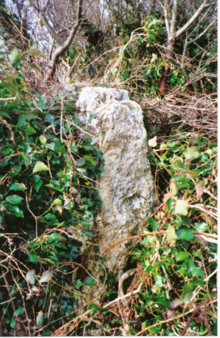 St. Eval Church Stones (Stone Circle) by hamish