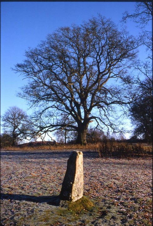 Lyndoch middle stone (Standing Stone / Menhir) by Ian Murray