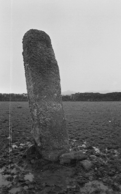 Boscawen-Ros (Standing Stones) by pure joy