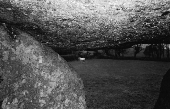 The Spinsters' Rock (Dolmen / Quoit / Cromlech) by pure joy