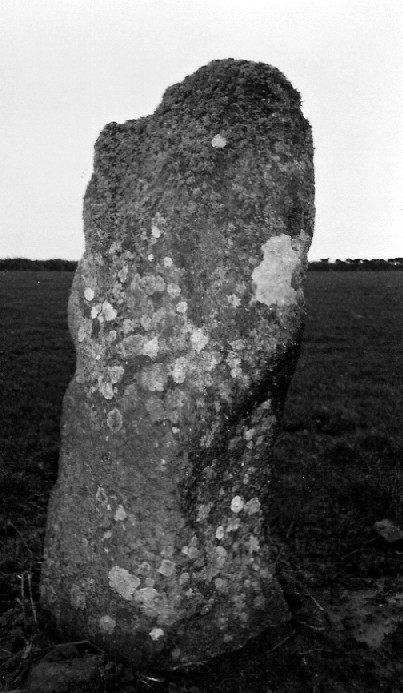 Treverven (Standing Stone / Menhir) by pure joy