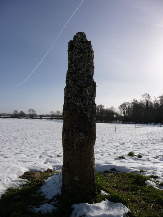 The Longstone of Minchinhampton (Standing Stone / Menhir) by thesweetcheat